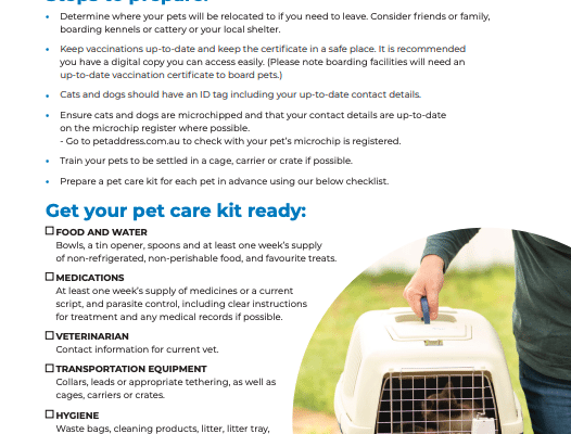 RSPCA_Pet-Safety_Thumbnail